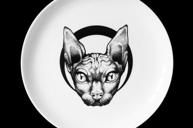 Тарелка с котом.