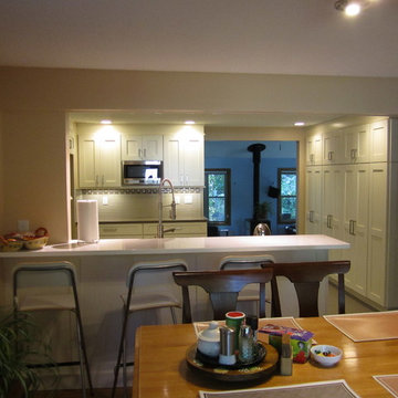 Modern/Contemporary Panna Cotta Kitchen Remodel w/Ginger color Quartz Countertop