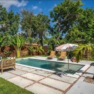 Jungle House - Exteriors