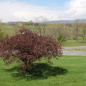 Pine Bush Entertainer