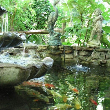 Koi Pond