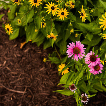 Mechanicsville Hillside Makeover