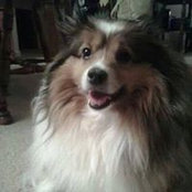 Lisa Worley's photo