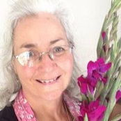 Anne Townend-Duffey's photo