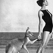 Sommer Pyne's photo