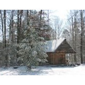Tracy Harris's photo