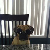 Mike Carrette's photo