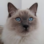 Foto von Stéphanie Guyen