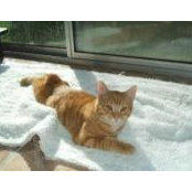 Sandra Beck's photo