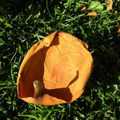 Nadia Nucci's photo
