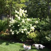 Michael Escue's photo