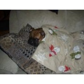 Beverly Soto's photo