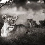 Photo de Sanela Ahmic