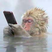 Michael Etter's photo