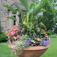 Dramatic Planters