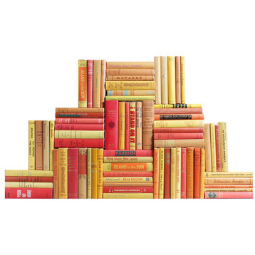 Vintage Sunset Book Wall, Set of 75