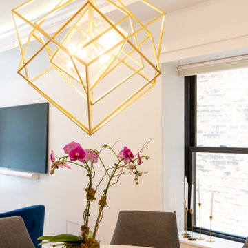 Andersonville Full Home Renovation