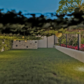 Dog Backyard