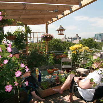 Boerum Hill, Rooftop