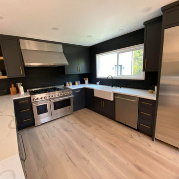 Modern Kitchen Remodel