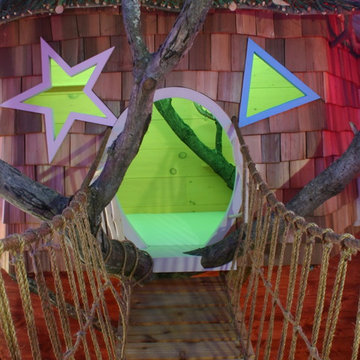 Tree House in a House