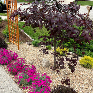 Zen like front yard
