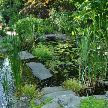 Ponds
