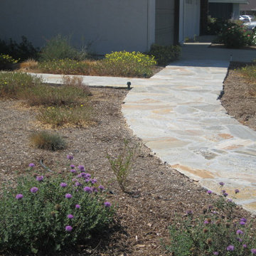Drought Tolerant Native Tustin Garden