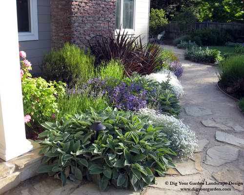 Plant Combinations - Northern California Gardens