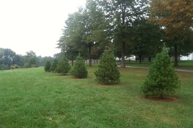 Design ideas for a landscaping in Cincinnati.