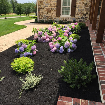 Newtown Square - New Owner, New Plants