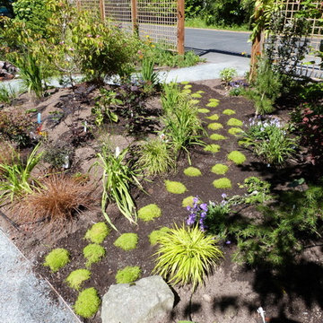 Edmonds Landscaping Project