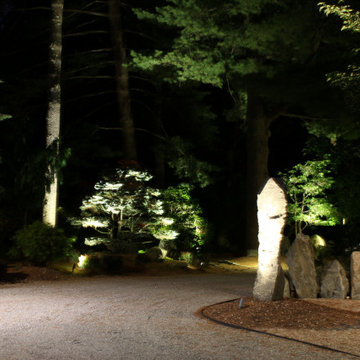 A most Unique Property with some Specimen Plant materials over 100 years old
