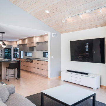 Minimalist Modern Kitchen