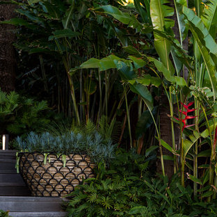 Tropical Garden - Palm Beach