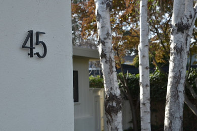 Inspiration for a modern exterior home remodel in San Francisco