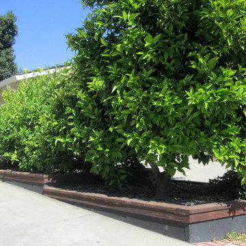 Gainer Garden
