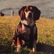 Debra Bettis's photo