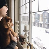 Dylan Andrews's photo