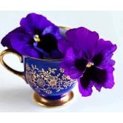 Maria Eugenia Riveros Sborovsky's photo