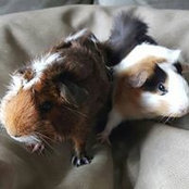 Cathy Tam's photo