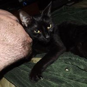 Aaron Roberts's photo