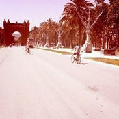 Karim Khan's photo