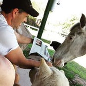 Mark Van Meter's photo