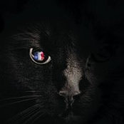 Deborah Worden's photo