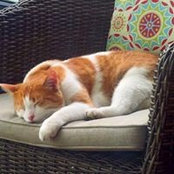 Julie Leclair's photo