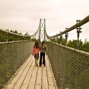 Nicole Kummer's photo