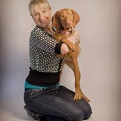 Photo de Judi Vuletich