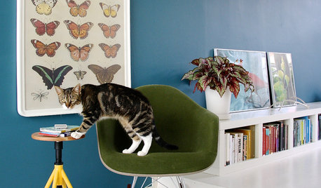 10 Cats That Have Made Themselves Right at Home