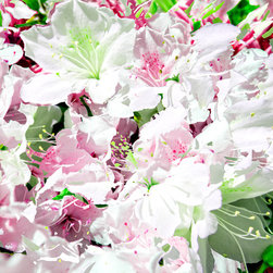 Fine Art Decor_Floral - Artwork